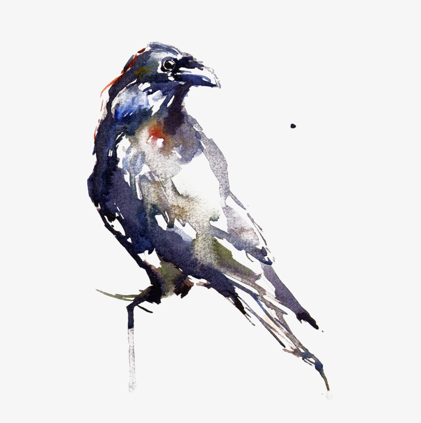 Png Images - Eagle - Raven In Watercolor, transparent png download