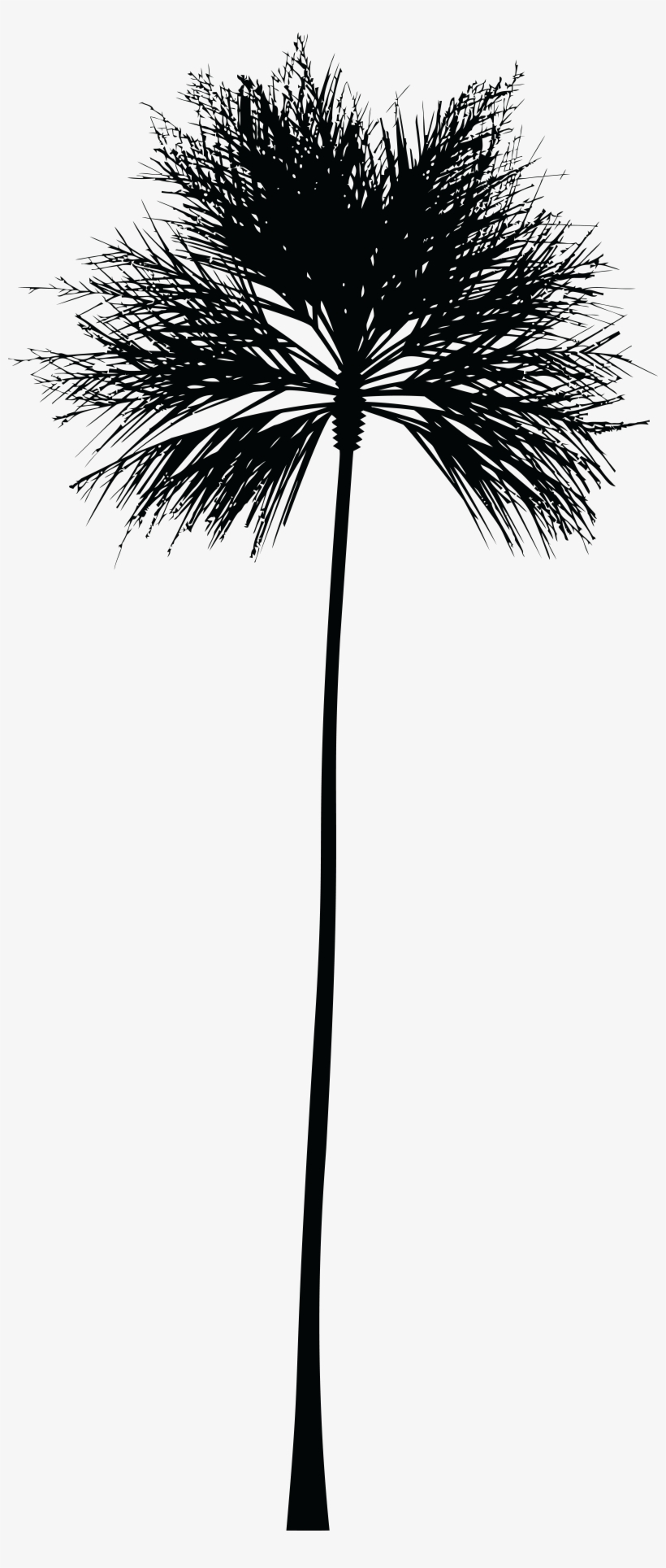 This Free Icons Png Design Of Palm Tree Silhouette, transparent png download