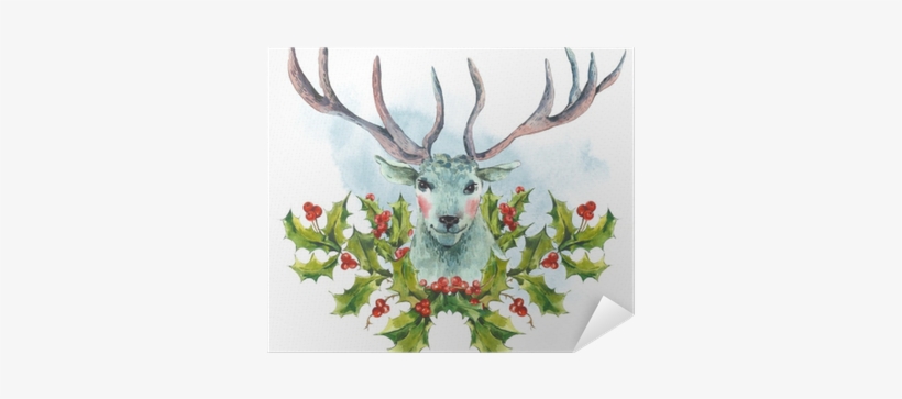 Watercolor Greeting Card, Snow White Deer With Holly - Howard Arman: Christmas Surprises Cd, transparent png download