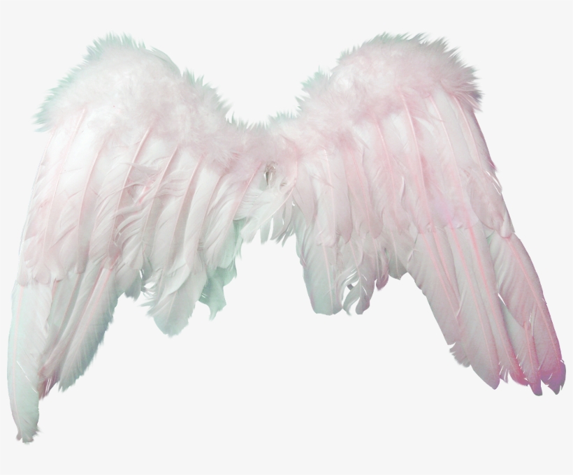 picture Alas De Angel Animado Png clipart angel png alas de angelitos