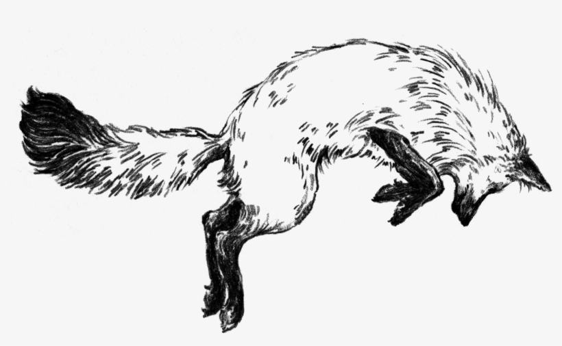 Fox In The Snow Picture Black And White - Fox In The Snow Cafe, transparent png download