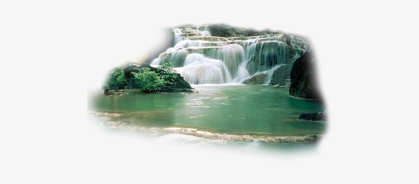 Elana Rosenbaum - Healing Meditation For Cancer Patients, transparent png download