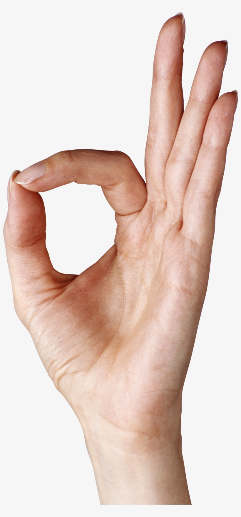 Three Steps To Yes: The Gentle Art, transparent png download