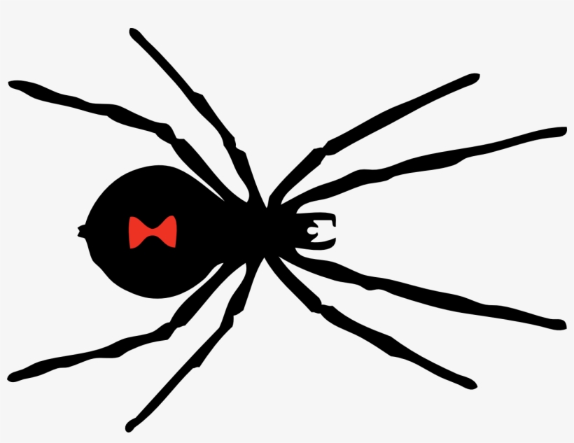 Black Widow Spider Svg Clip Arts 600 X 434 Px, transparent png download