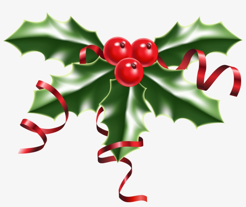 Christmas Holly Pictures 1 2 - Holly With Berries, transparent png download