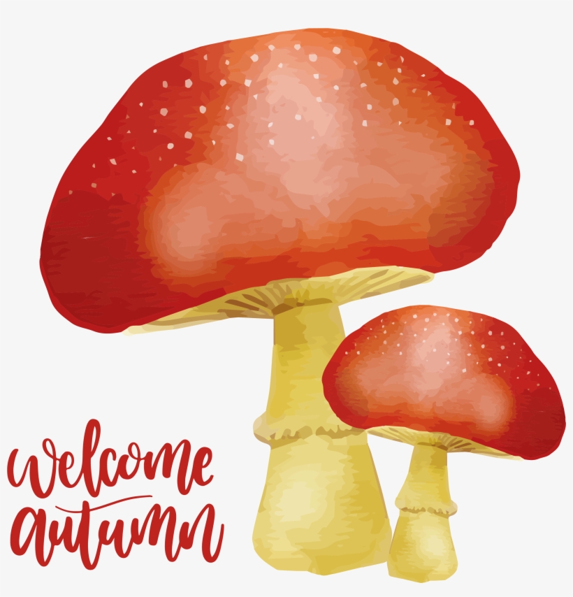 Svg Library Library Autumn Painting Download The Mushroom - Cogumelos Aquarela, transparent png download