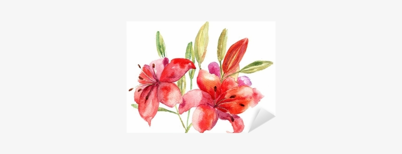 Beautiful Lily Flowers, Watercolor Illustration Sticker - Designart - Lily Flowers Illustration - Floral Art, transparent png download