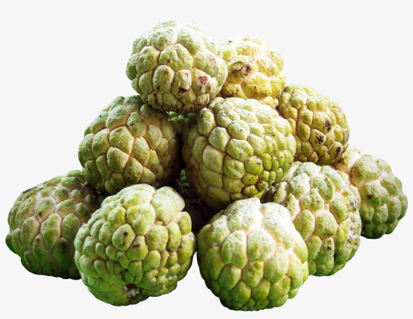 Fruits Png Transparent Image - Custard Apple Fruit Png, transparent png download