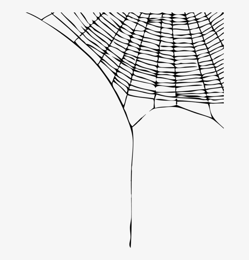 Transparent Pictures Free Icons - Spider Web Transparent Background, transparent png download