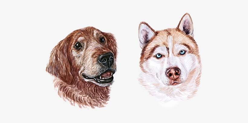 Sledding Drawing Dog Indian - Dog, transparent png download