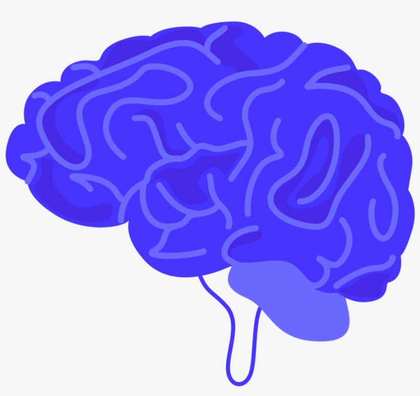 Brain, transparent png download