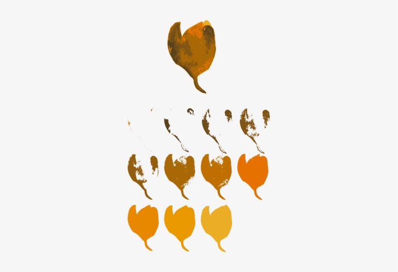 In The Image Below You Can See That I Changed The Color - Illustration, transparent png download