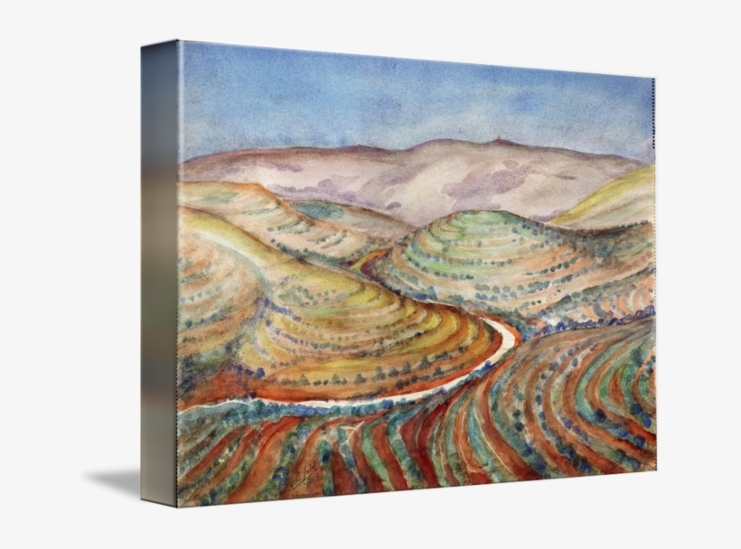 Judean Hills Near Israel - Gallery-wrapped Canvas Art Print 16 X 11 Entitled Judean, transparent png download