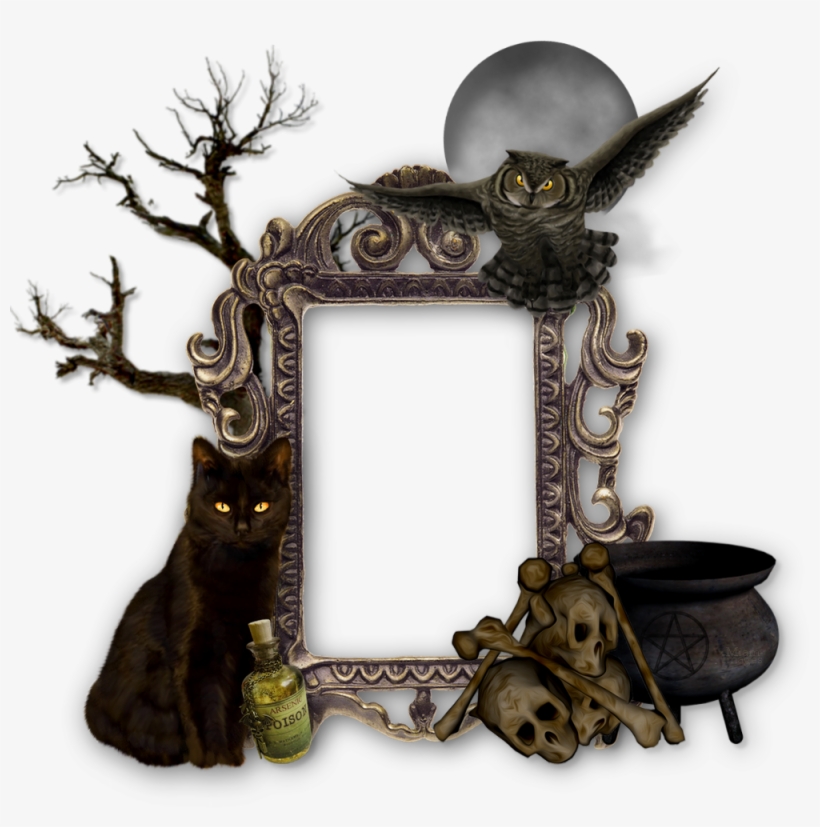 Halloween Frame Png - Tree, transparent png download