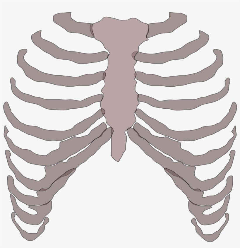 Rib Cage Png Png Free Download - Golf Ball With Skull Cage Tshirt, transparent png download