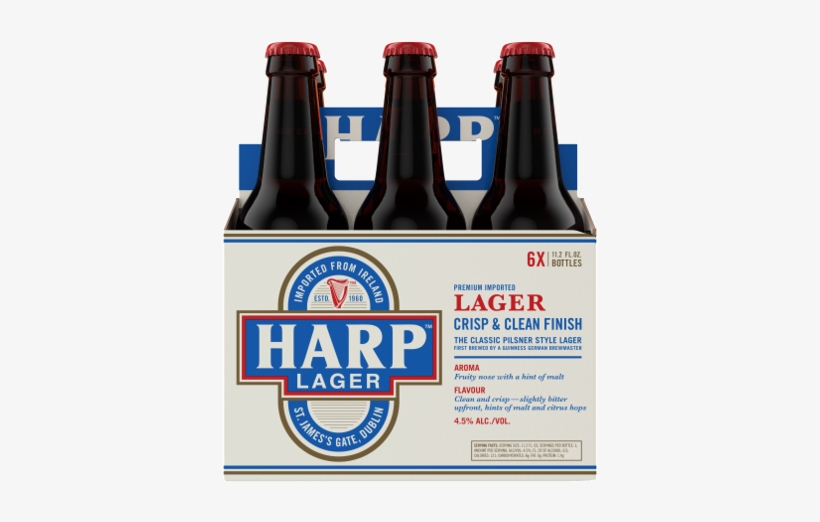 Guinness' Beloved Gilroy Cans Will Return This Fall - Beer Bottle, transparent png download