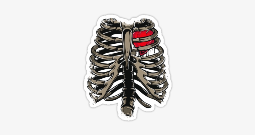 Rib Cage & Heart&quot - Skeleton Rib Cage Twin Duvet, transparent png download