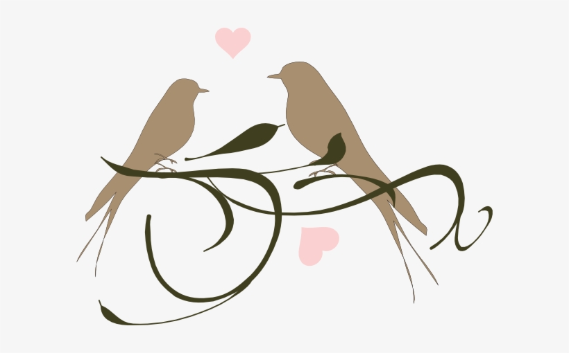 Love - Love Birds For Wedding, transparent png download