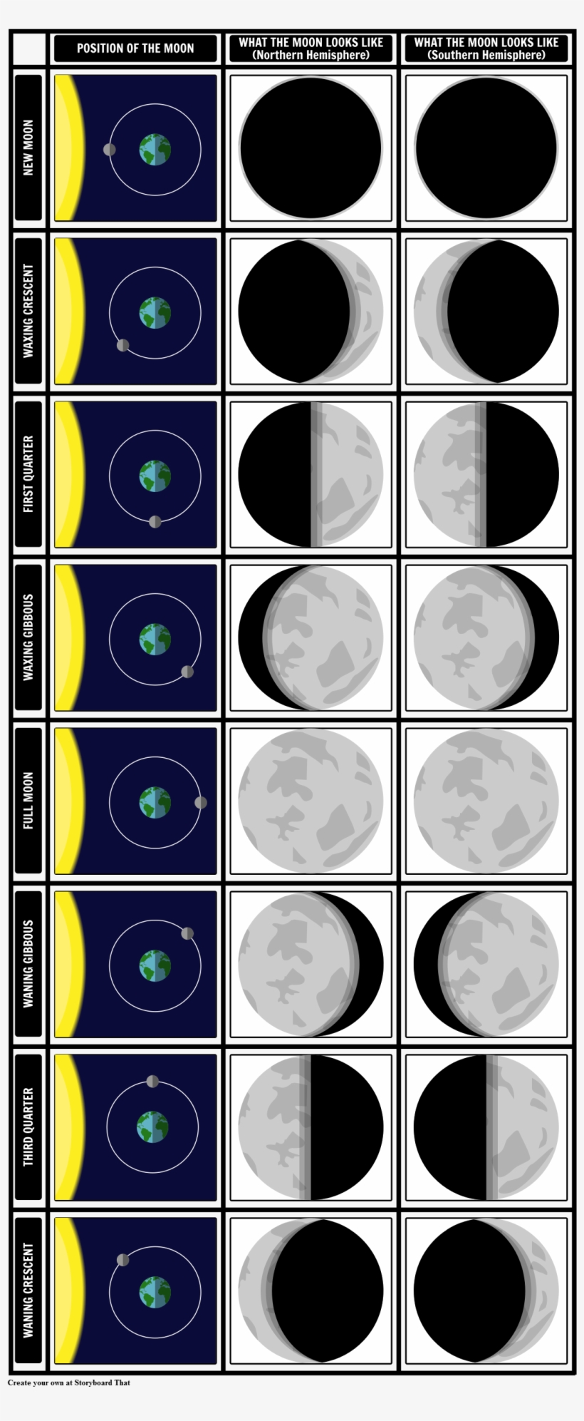 Phases Of The Moon - Lunar Phase, transparent png download