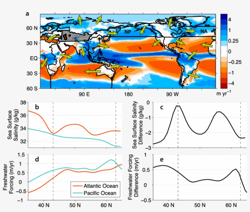 Total P 2 E And Outline Of Ocean Boxes And Their Catchment - Ocean, transparent png download