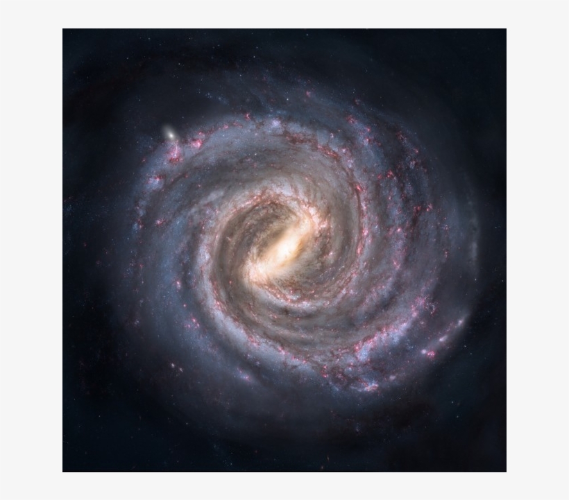 We'd All Be Pretty Unimpressed With That Bacterium, - Top View Milky Way, transparent png download