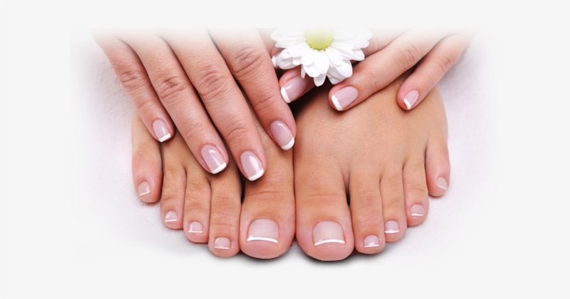 Apply Olive Oil And Lemon - French Manicure, transparent png download