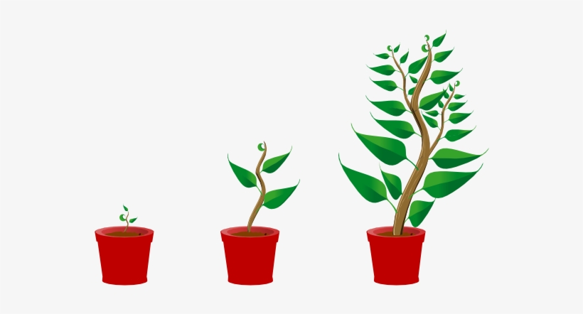 Small - Getting To Know Plants, transparent png download