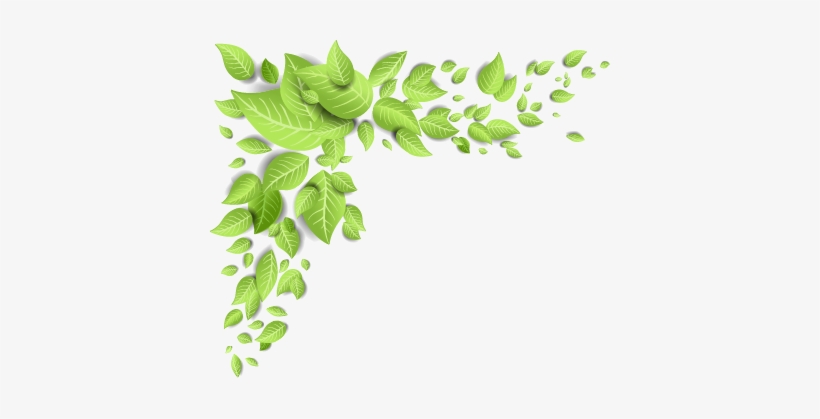 พื้น หลัง ธรรมชาติ สี เขียว, transparent png download