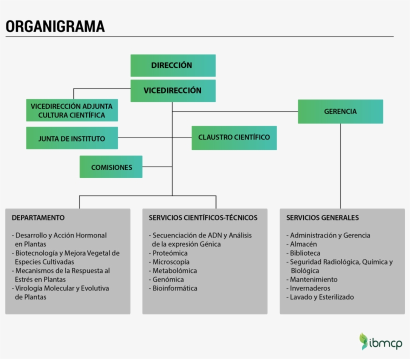 Organigrama Ibmcp - Organigrama De Un Invernadero, transparent png download