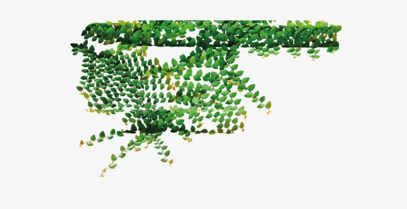 Tree, transparent png download