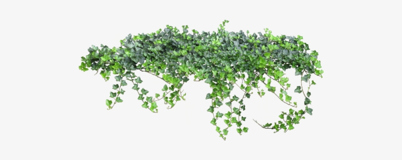 Mary Realise That It's The Garden No One Can Go Into - Png Enredadera, transparent png download