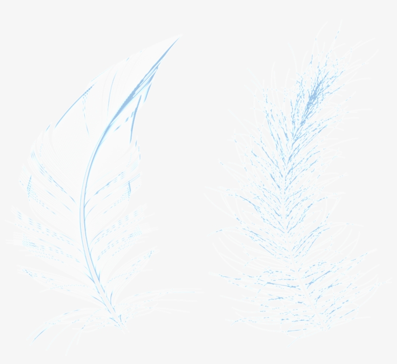 Png Transparente De Plantas Azuis - Sketch, transparent png download