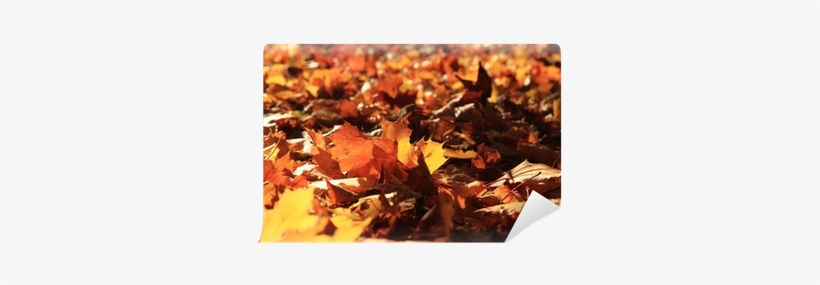 Painting, transparent png download