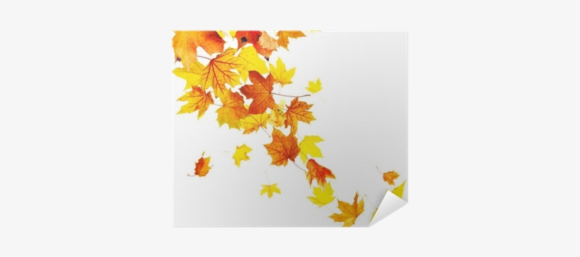 Autumn Falling Leaves Isolated On White Background - Fall Preschool Bucket List, transparent png download