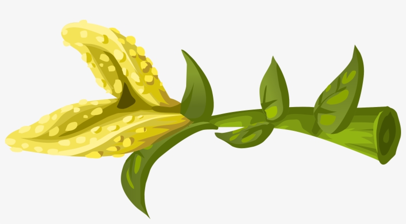 This Free Icons Png Design Of Herbs Yellow Crumb Flower, transparent png download