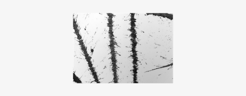 Painting, transparent png download