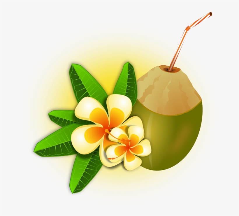 Coconut Cocktail - Hawaii Png, transparent png download