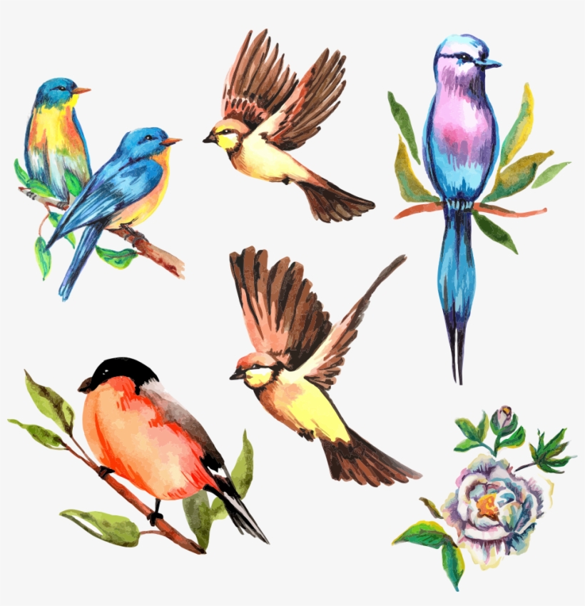 Vector Watercolor Flower Bird - Watercolor Bird Vector, transparent png download