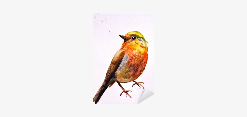 Water Colour Painting Bird Fly, transparent png download