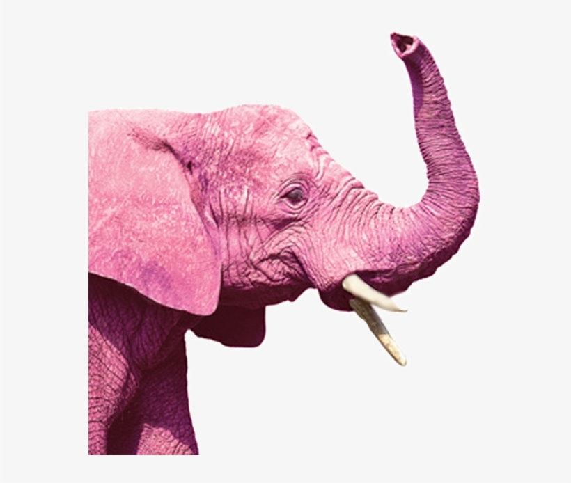 A Ranking Of All Six Lgbt Republican Swag Items That - Photography, transparent png download