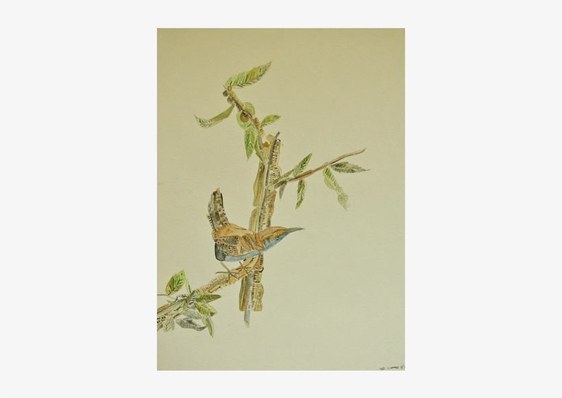 Watercolor Birds 1 - Watercolor Painting, transparent png download