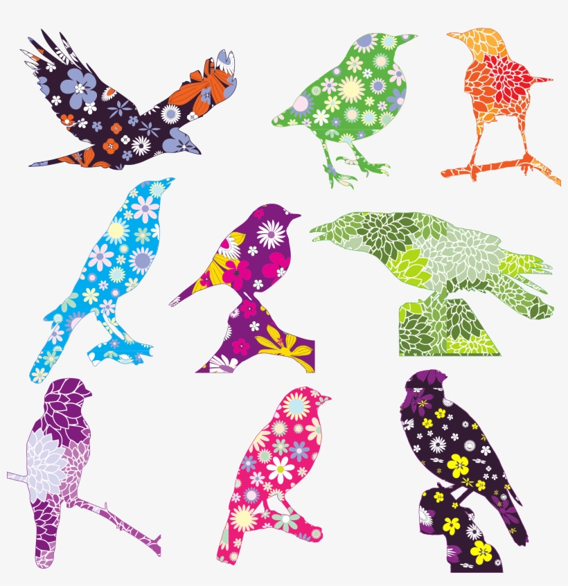 Floral Birds Graphic Black And White Stock - My First Coloring Book: I Love Coloring [book], transparent png download