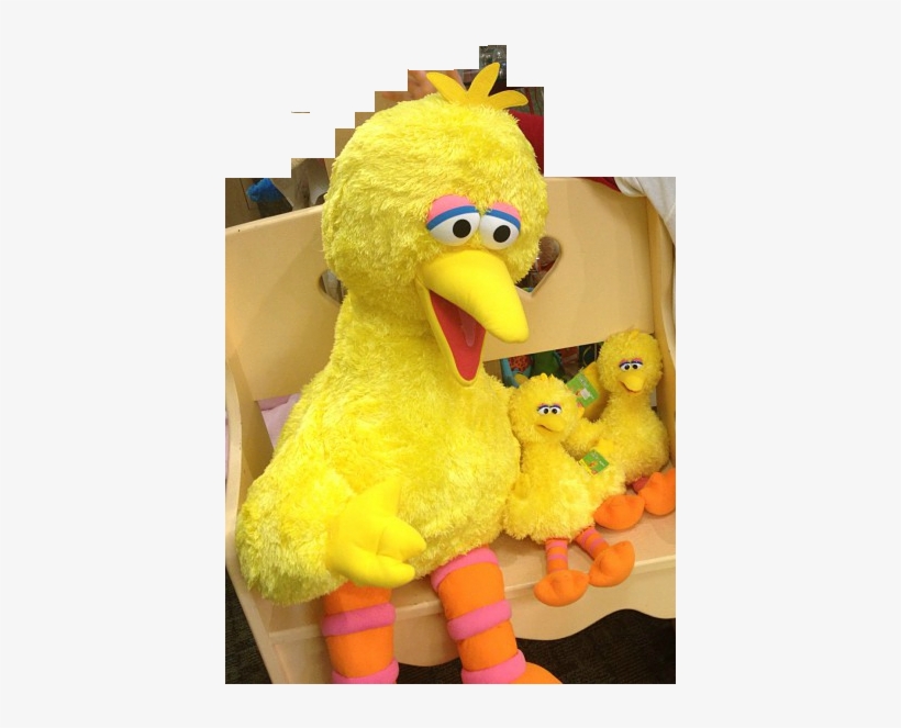 Does The Mitzvah Of Chasing Away The Mother Bird Apply - Big Bird With Baby Birds, transparent png download