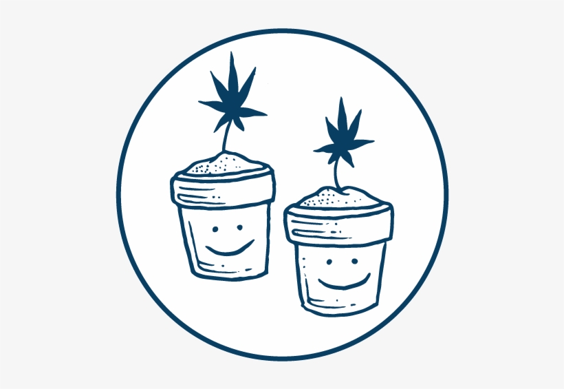 So You Think You Know Cannabis, transparent png download