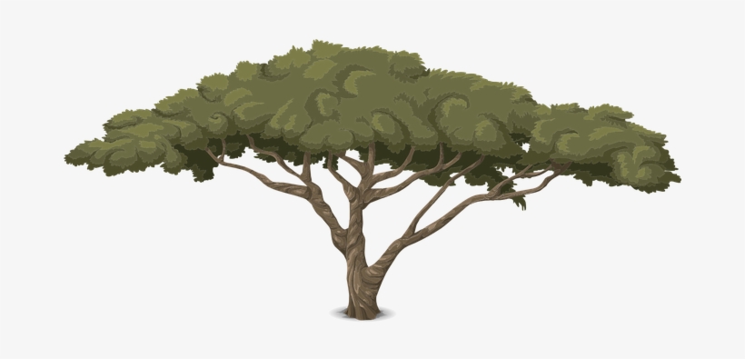 Tree Trunk Nature Leaves Design Creative B - Society6 Africa Couch Throw Blanket - 51" X 60", transparent png download