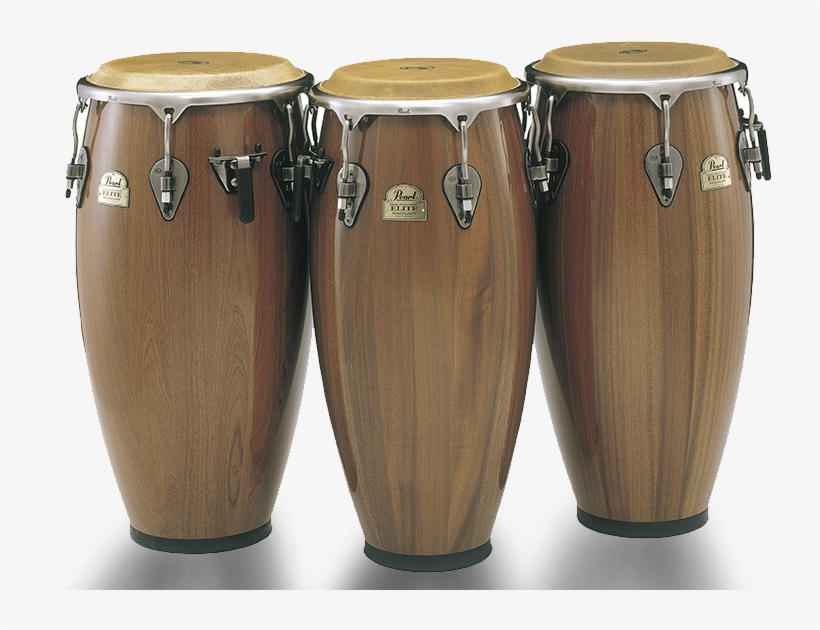 Conga, transparent png download