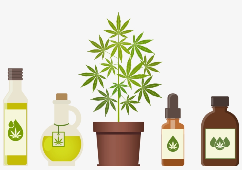 The Hemp Store Nc, transparent png download