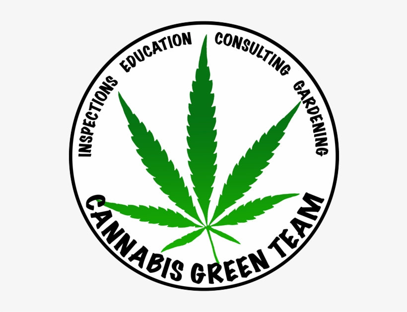 Cannabis Green Team - Marijuana Leaf Vector, transparent png download