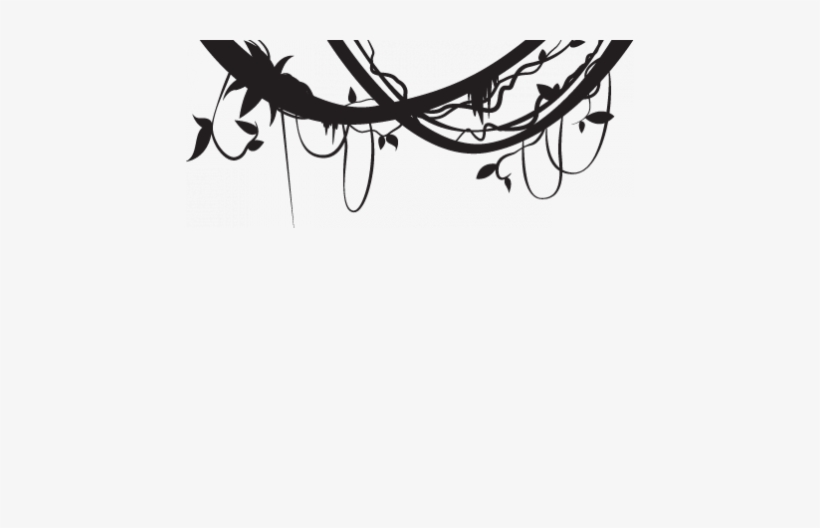 Liane Jungle Png - Jungle Liane, transparent png download