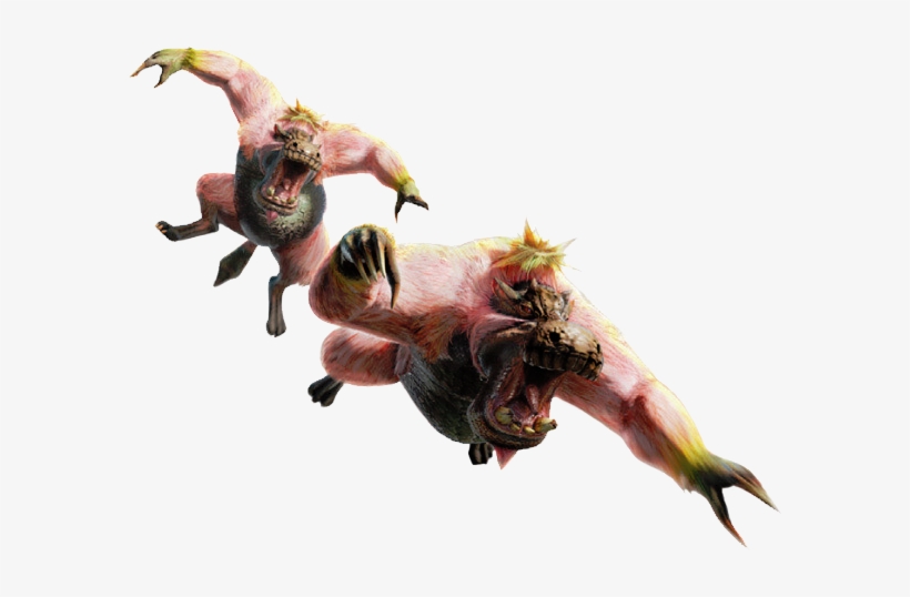Ape Drawing Conga - Conga Monster Hunter, transparent png download